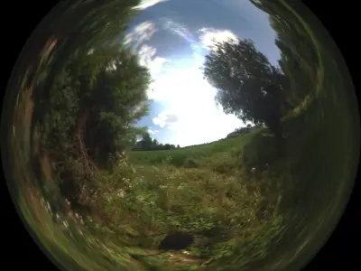 Countryside sunny day HDRi Texture