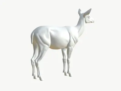  Realistic 3D Deer Model Low Poly PBR 