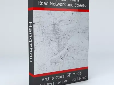 Hangzhou Road Network and Streets 3D model