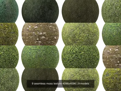 9 seamless moss texture 4096x4096 Texture