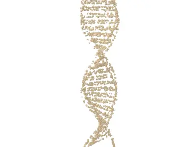 DNA Molecule v4 004 3D model