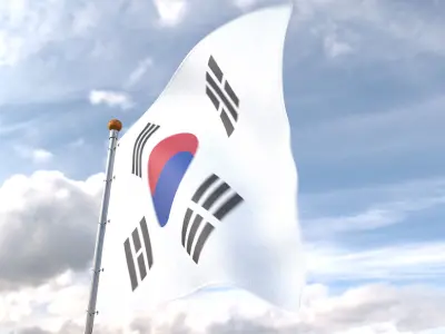 Flag South Korea animated loop 3D model
