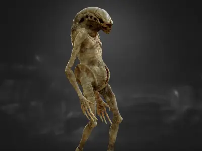 The Newborn  Low-poly 3D model