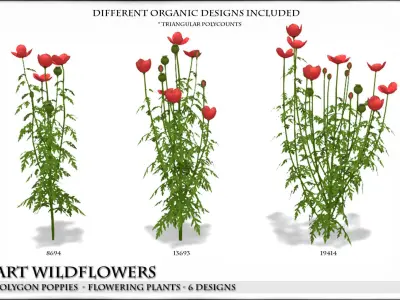 Low Polygon Poppies for Games and Architectural Visualisation Low-poly 3D model