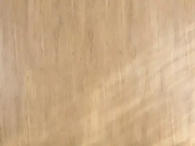 Wood material v04 Texture