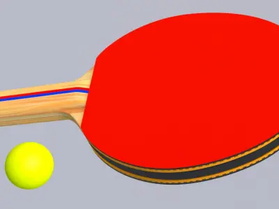 Tennis Table AND Tennis Paddles 3D model