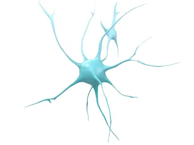 Neurons v1 001 Low-poly 3D model