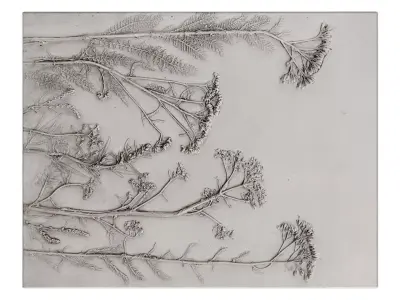 Botany Panel 3D model