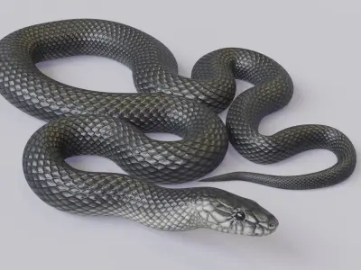  Animated Black Mamba 