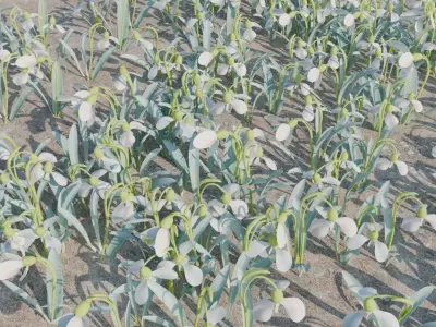 Spring flowers 3D model