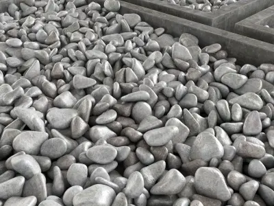 Pebble color  form  3D model
