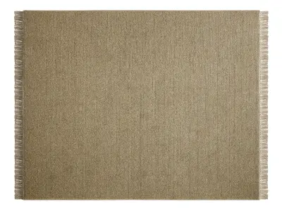 Siesta Rug Rectangular 3D model
