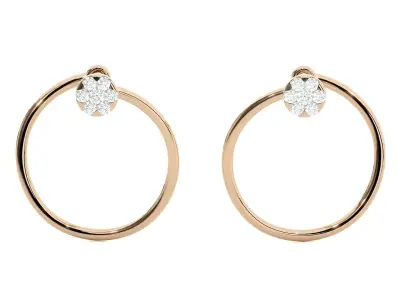 Light wt Women Diamond Earrings  3D print model