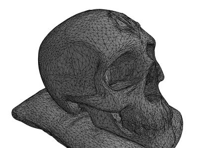 Ornate Stylized Skull with Velvet Pillow Low-poly 3D model