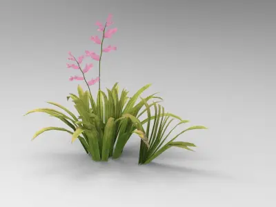 Grass plants Free low-poly 3D model