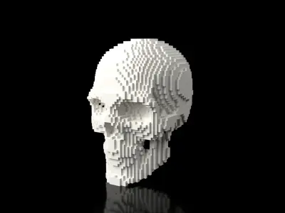 Skull Minecraft Voxel Low-poly 3D model
