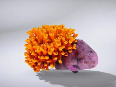 Golden Yellow Sun Coral Model Low-poly 3D model