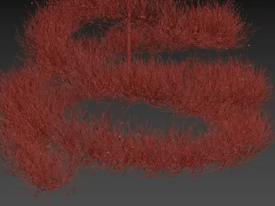 Spruce Tree 3D model