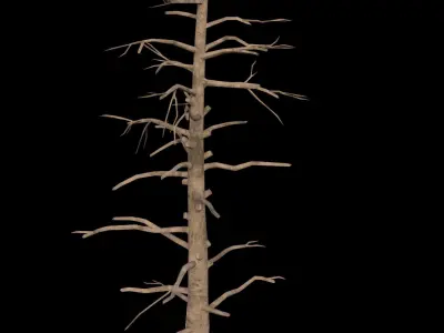 Dead Pine Tree - PBR - Textured Low-poly 3D model
