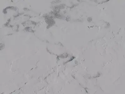 Mossy Aged Plaster Wall Texture