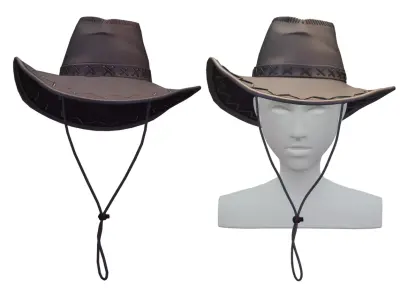 Cartoon High Poly Subdivision Cowboy Hat Low-poly 3D model