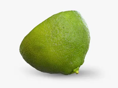  Realistic Lime collection 