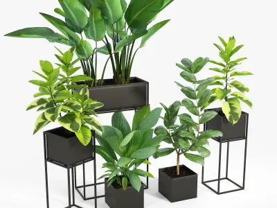 Three Black Standing Planters 3D model