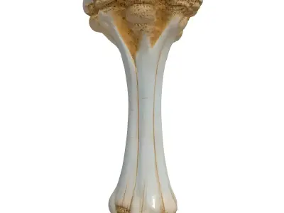 Stylized Alien Bone Artifact 3D Model Low-poly 3D model