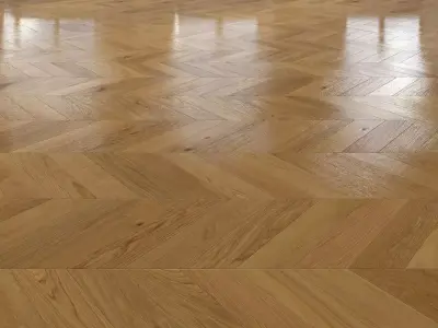 Oak Chevron floor 2 3D model