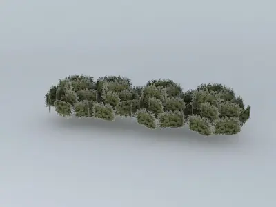 Street trees taquari Free 3D model