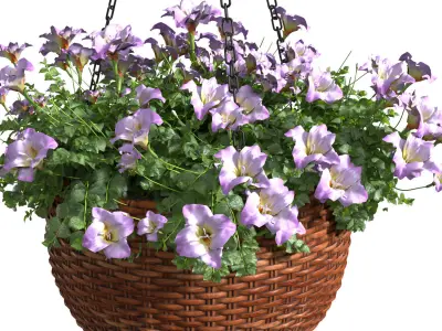Hanging basket flowerpot rattan pot with flowers 3D model