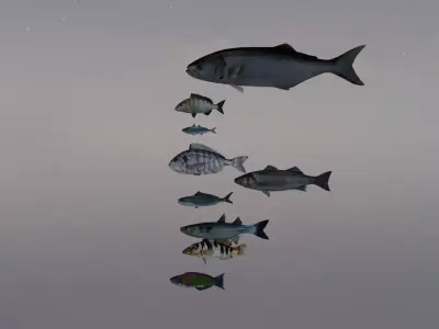 Mediterranean Fishes Set Nine piece  low-poly 3D model FREE Free low-poly 3D model