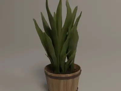 Bath accessories 3D model purchase