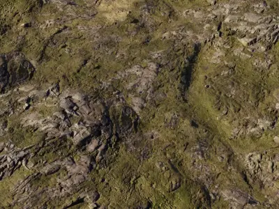 Rocky Moor Grass Blend Texture