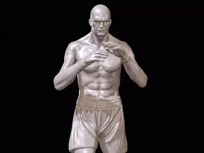 KickBoxer for 3D Print 3D print model