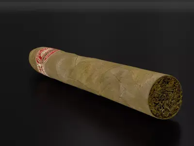 Cigar Low-poly 3D model