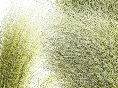 Beautiful Bushes and Stipa Feather Grass flower pot for decor 3D model