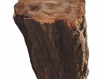 trunk 101 3D model