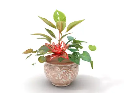 Elegant Floral Pottery model pack Low-poly 3D model