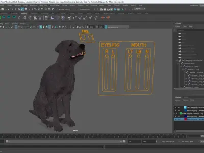  Black Begging Labrador Dog Fur Animated Rigged for Maya 