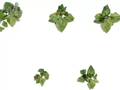 Game Ready Foliage Pack  Low-poly 3D model