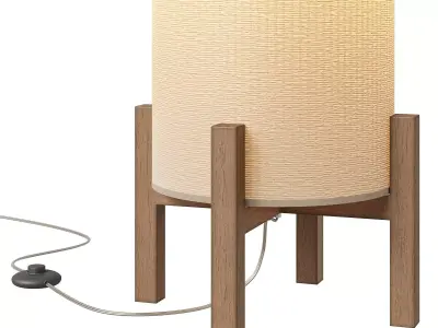 World Market paper rattan floor lamp 3D model