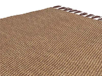 Willow Water Hyacinth Rug 180x120cm RendezVousDeco 3D model