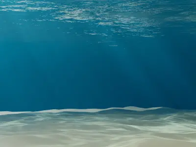 Underwater Ocean Scene 3D model