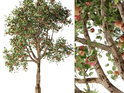Apple tree Low-poly 3D model