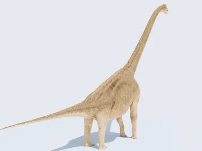  Brachiosaurus-Altitorax 