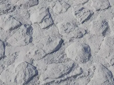 Mudbound Fieldstone Path PBR Texture  Texture