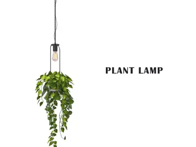Plant lamp 3D model