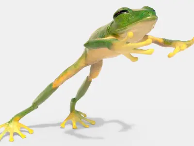  Jumping Tree Frog Animated Rigged for Blender 