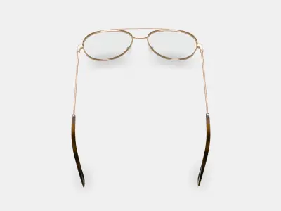 York Eyeglasses in Polished Gold 3D model